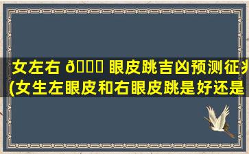 女左右 🐟 眼皮跳吉凶预测征兆(女生左眼皮和右眼皮跳是好还是坏)